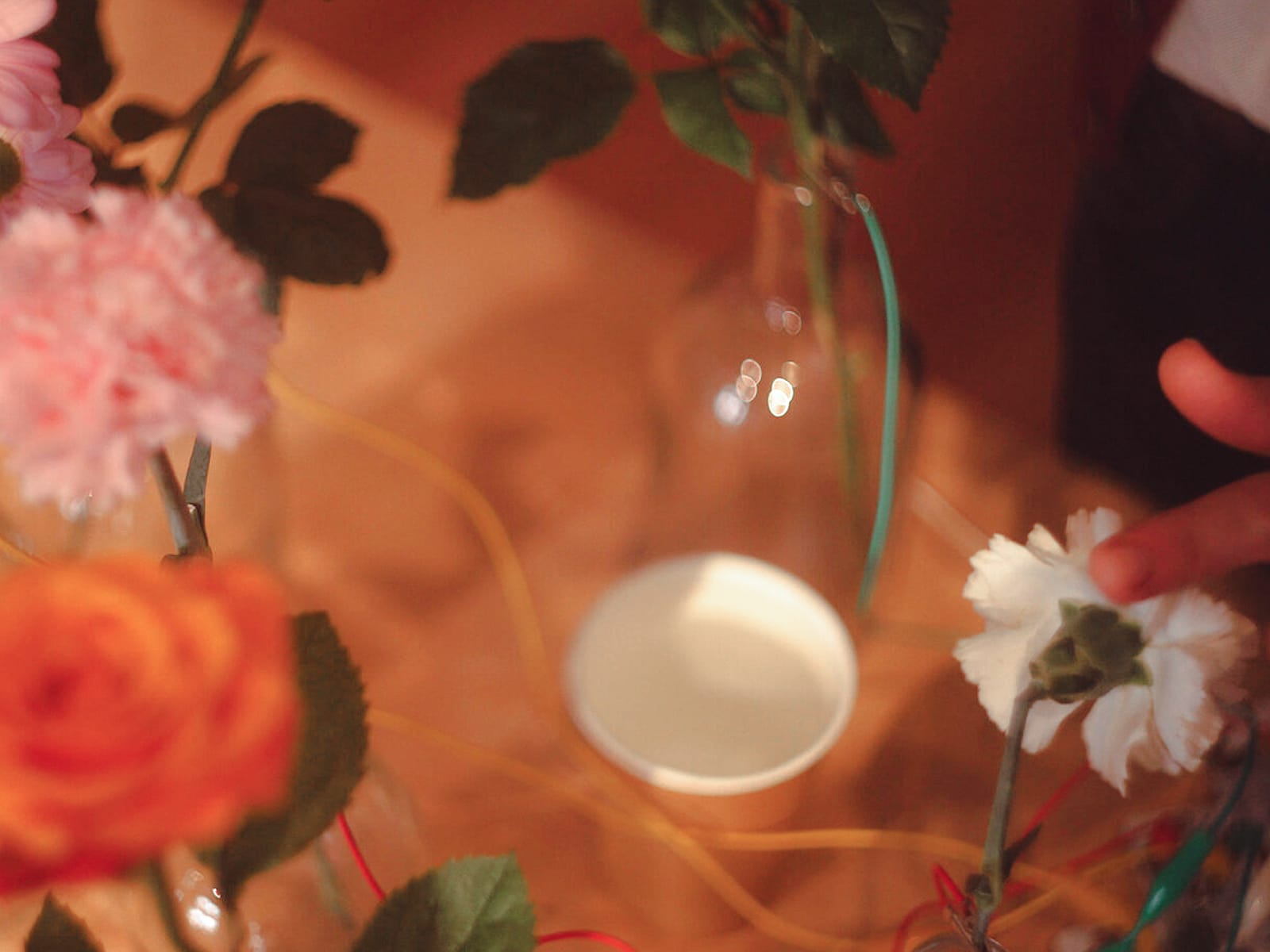 Мира Центр в Суздале