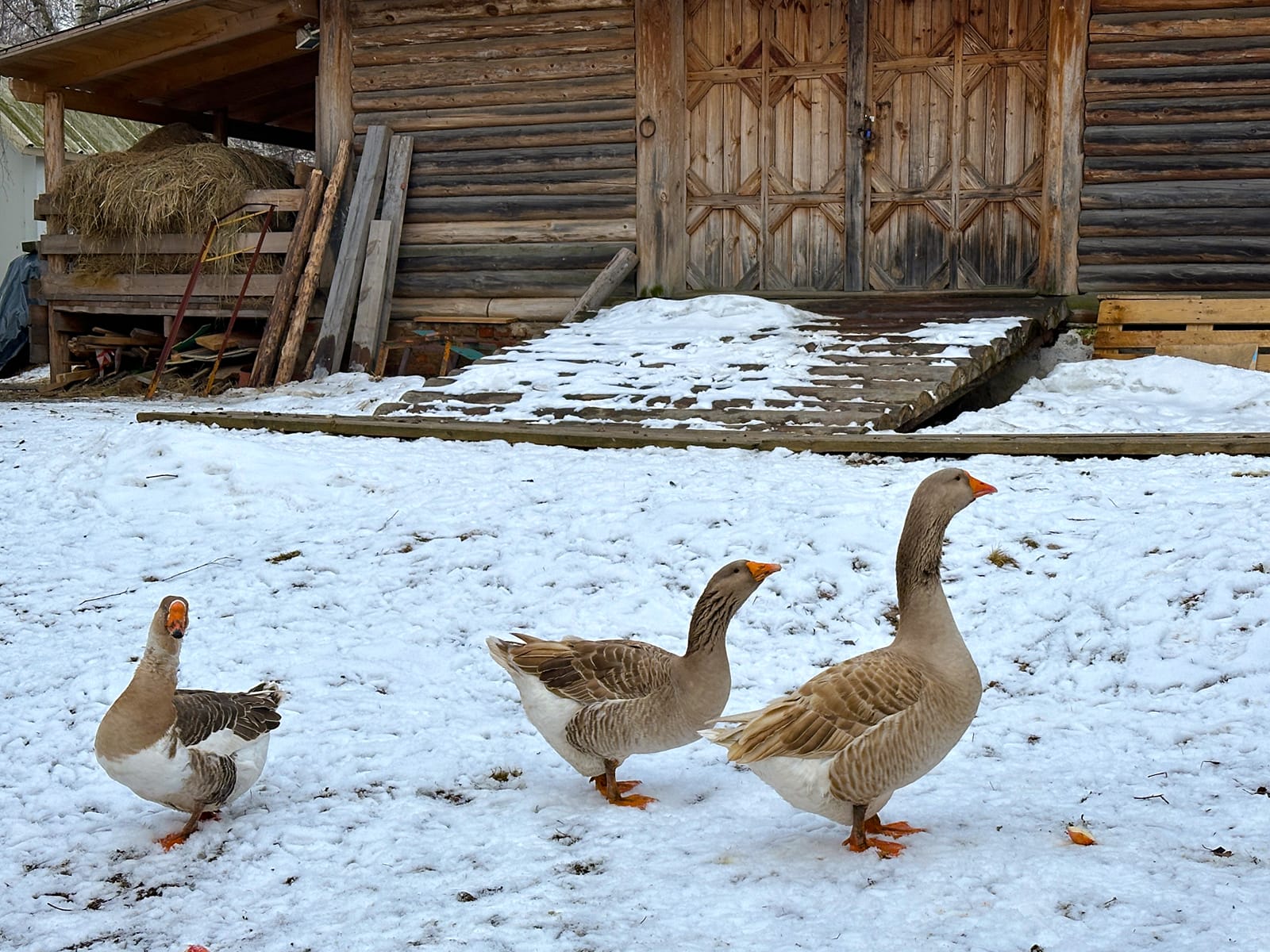 Музей деревянного зодчества и крестьянского быта