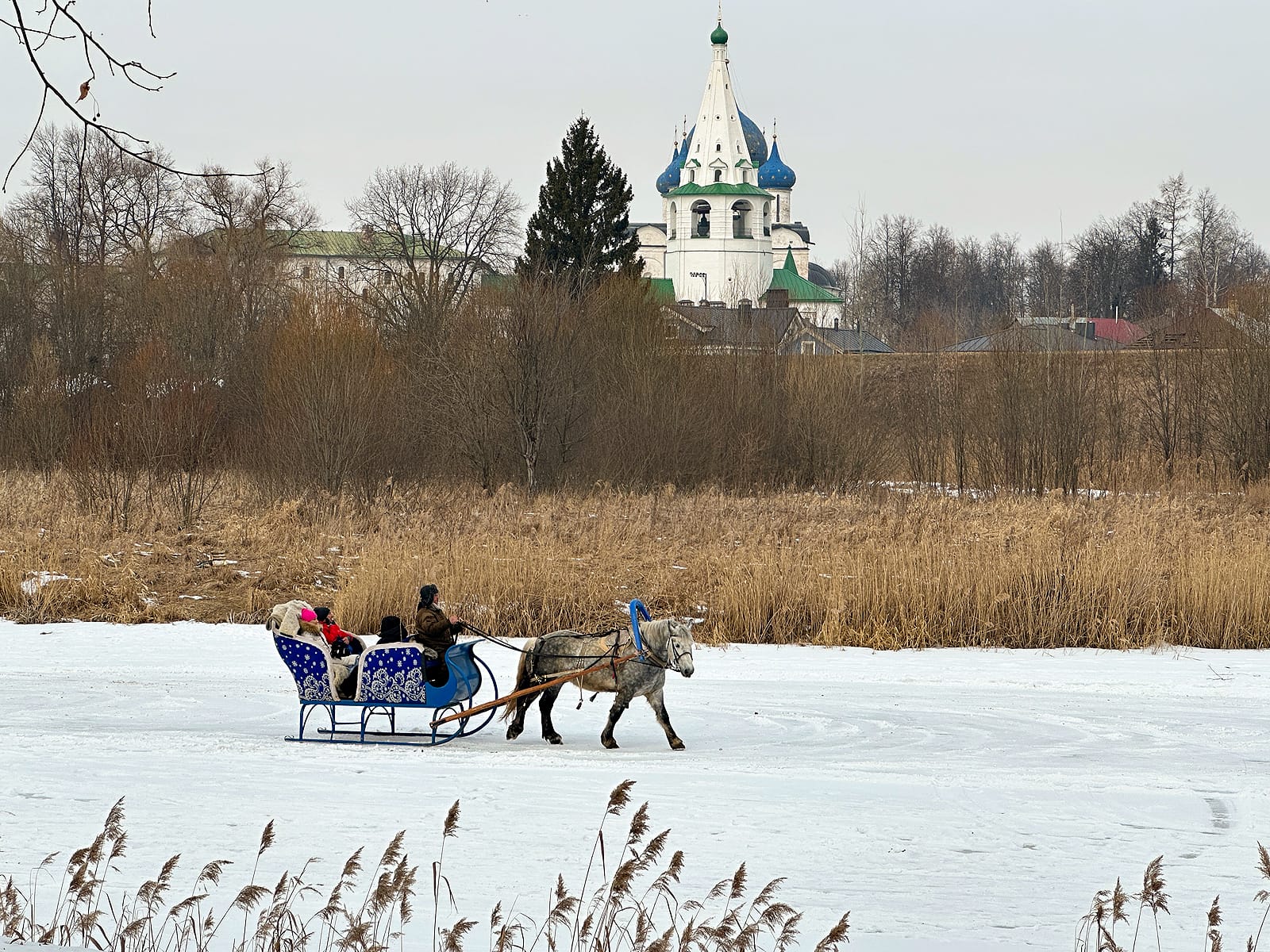 Суздаль 2025 год