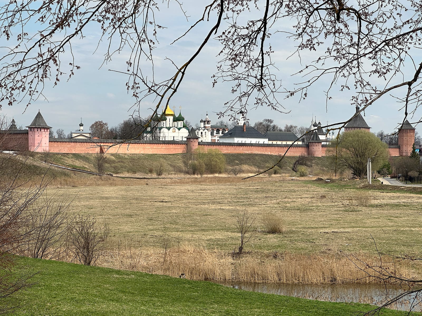 Спасо-Евфимиев мужской монастырь 2025