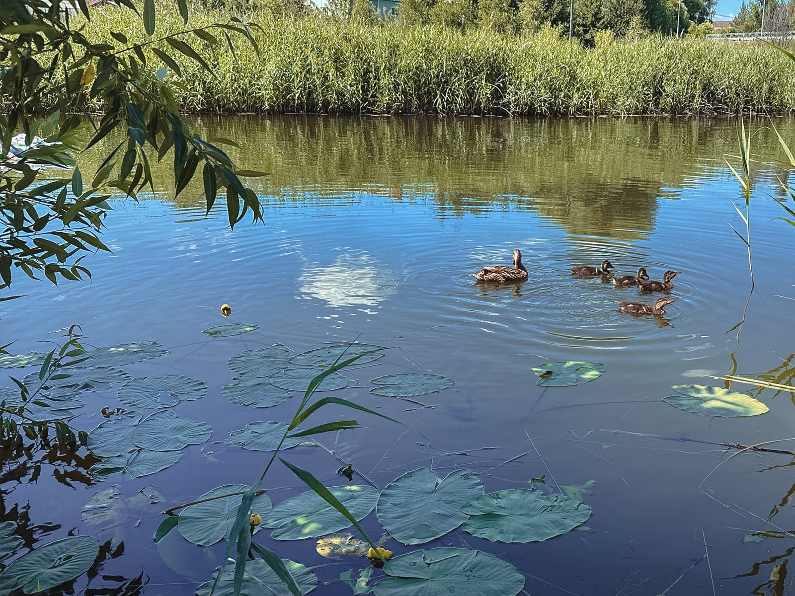 Атмосфера Суздаля