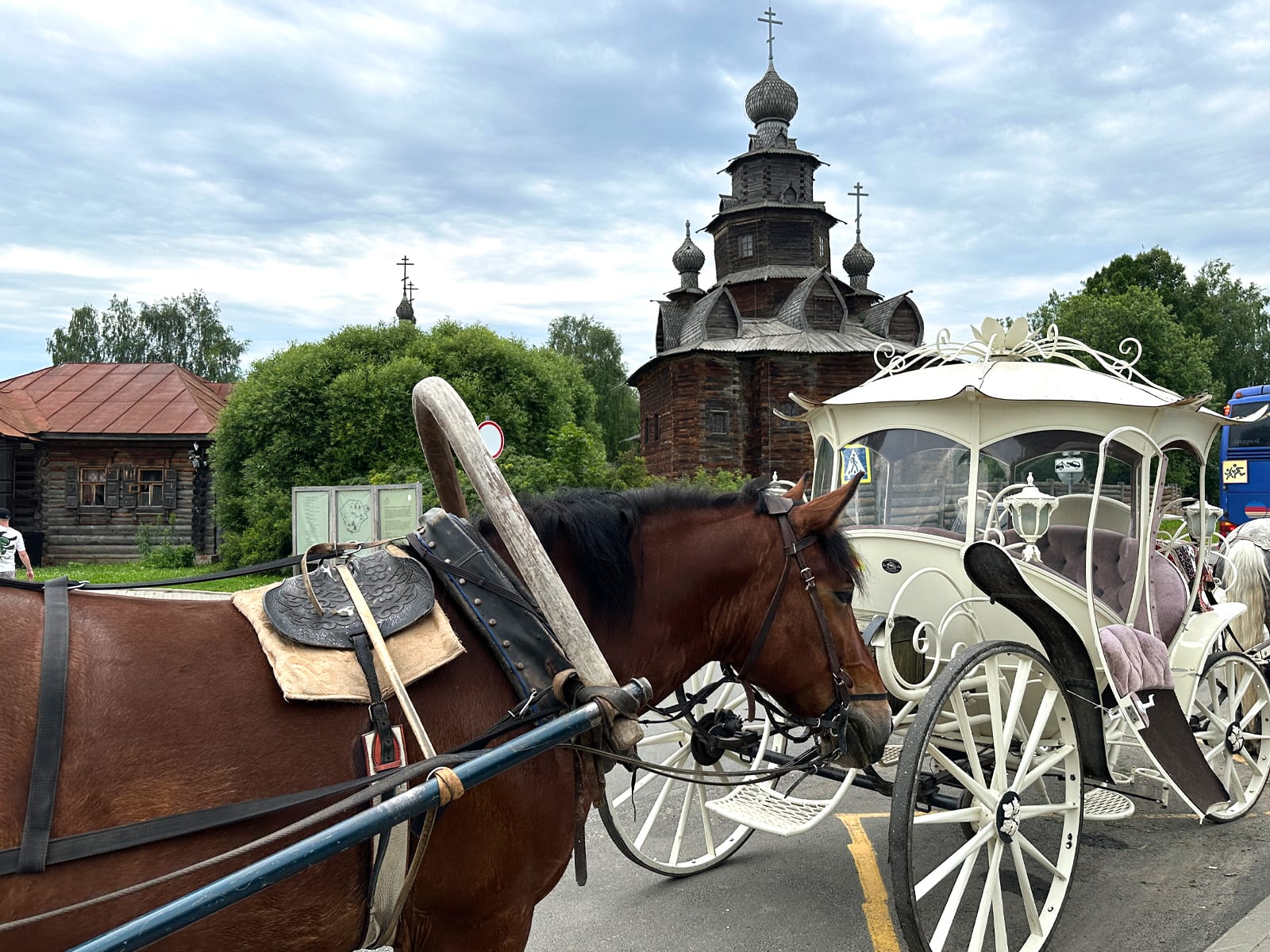 Катание на лошадях в Суздале
