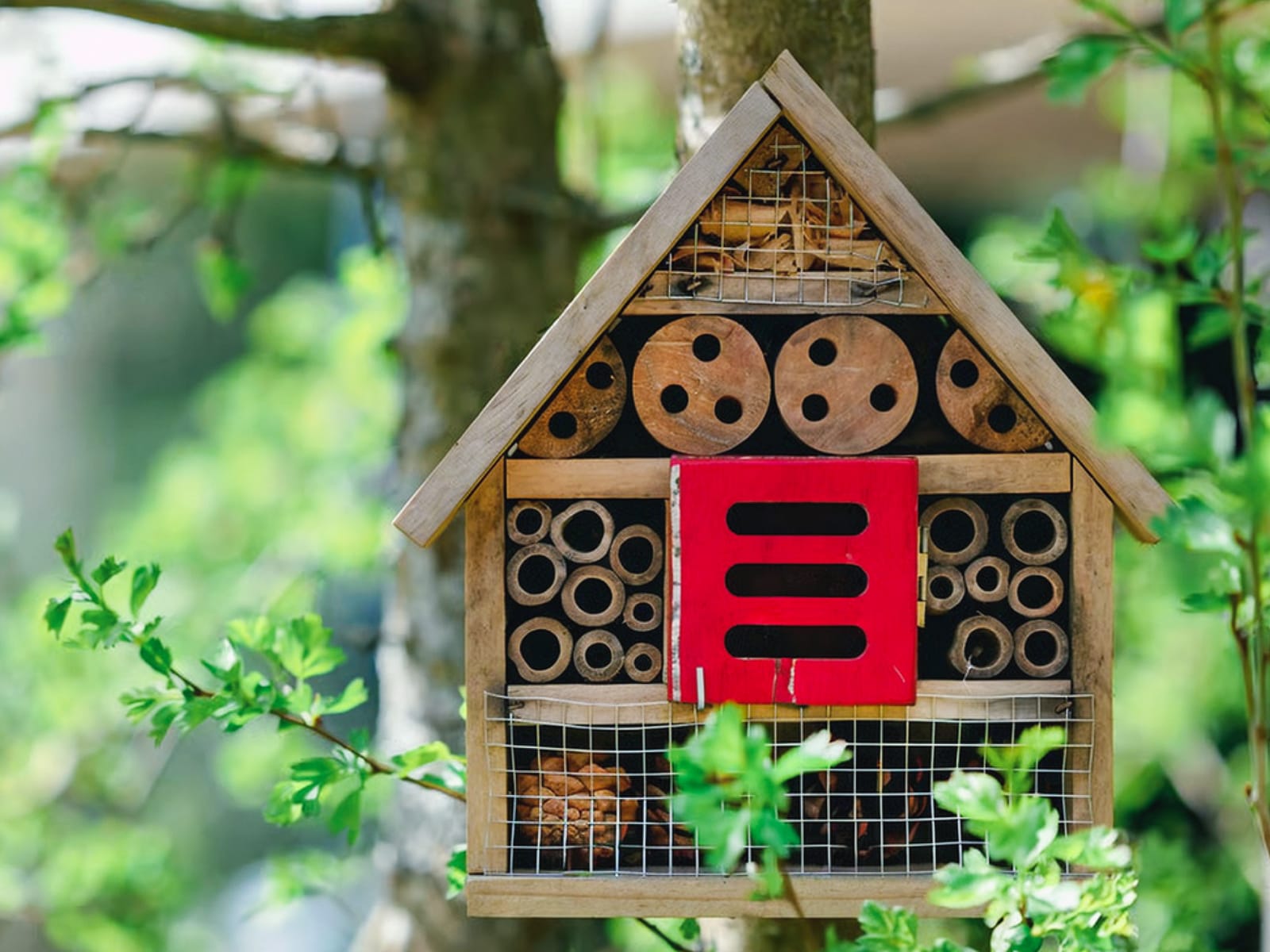 Отель для насекомых