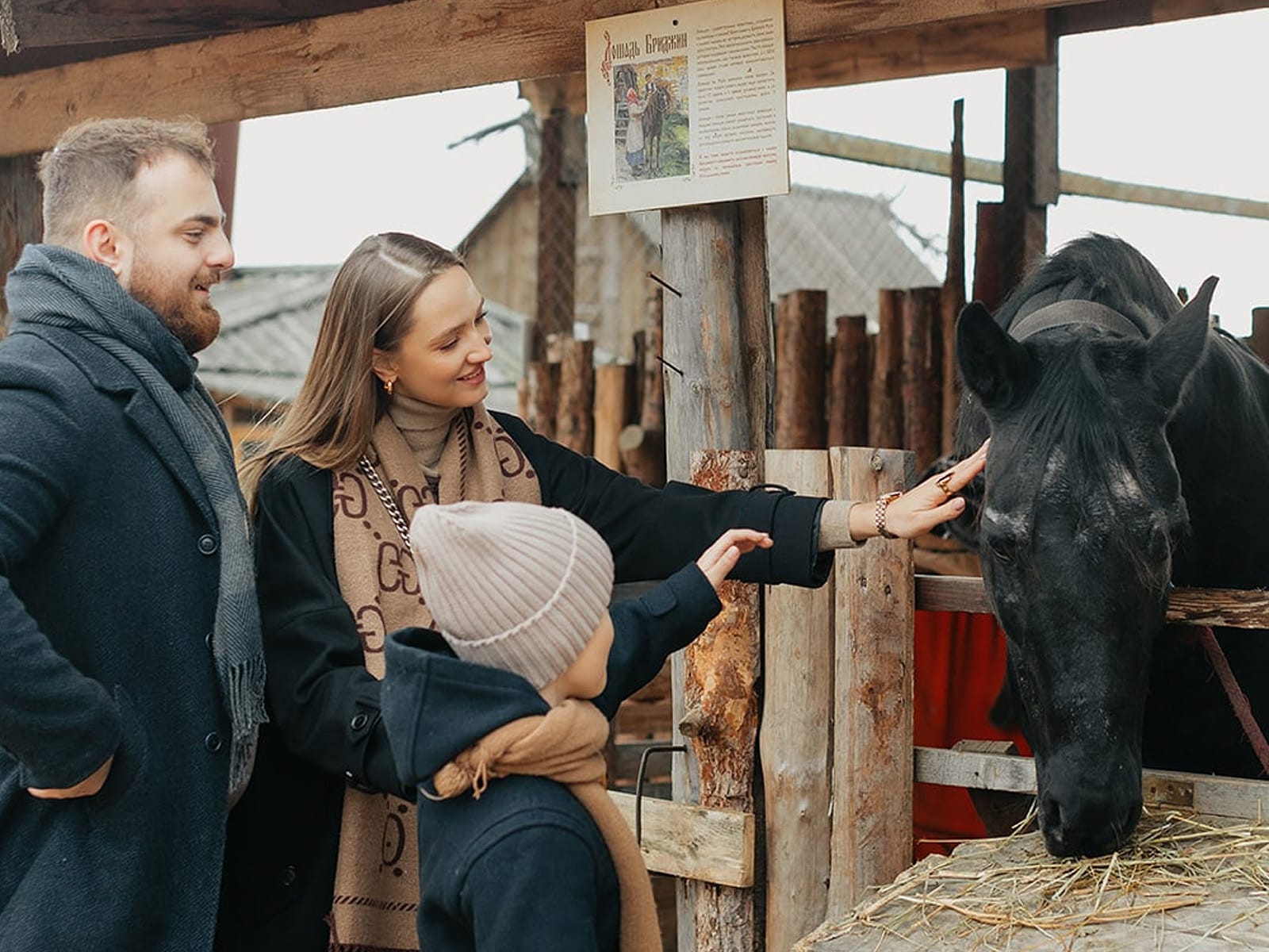 Щурово Городище в Суздале