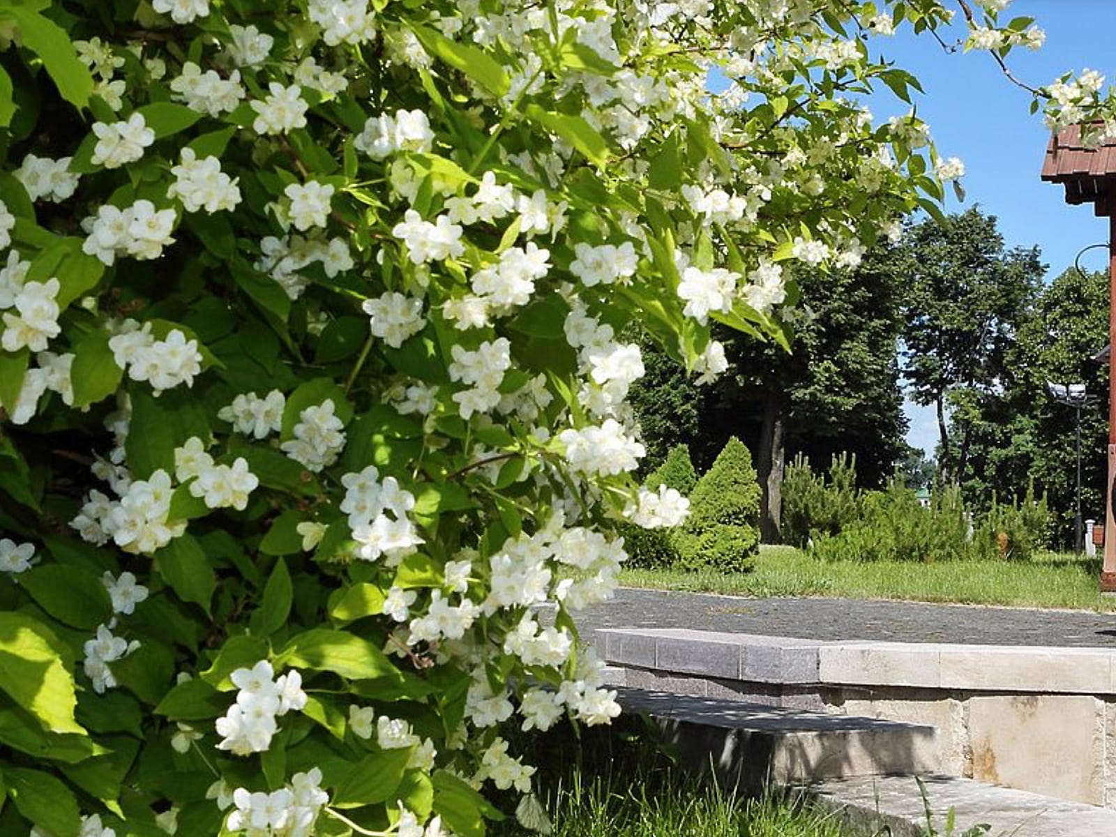 8 марта в Пушкарской слободе