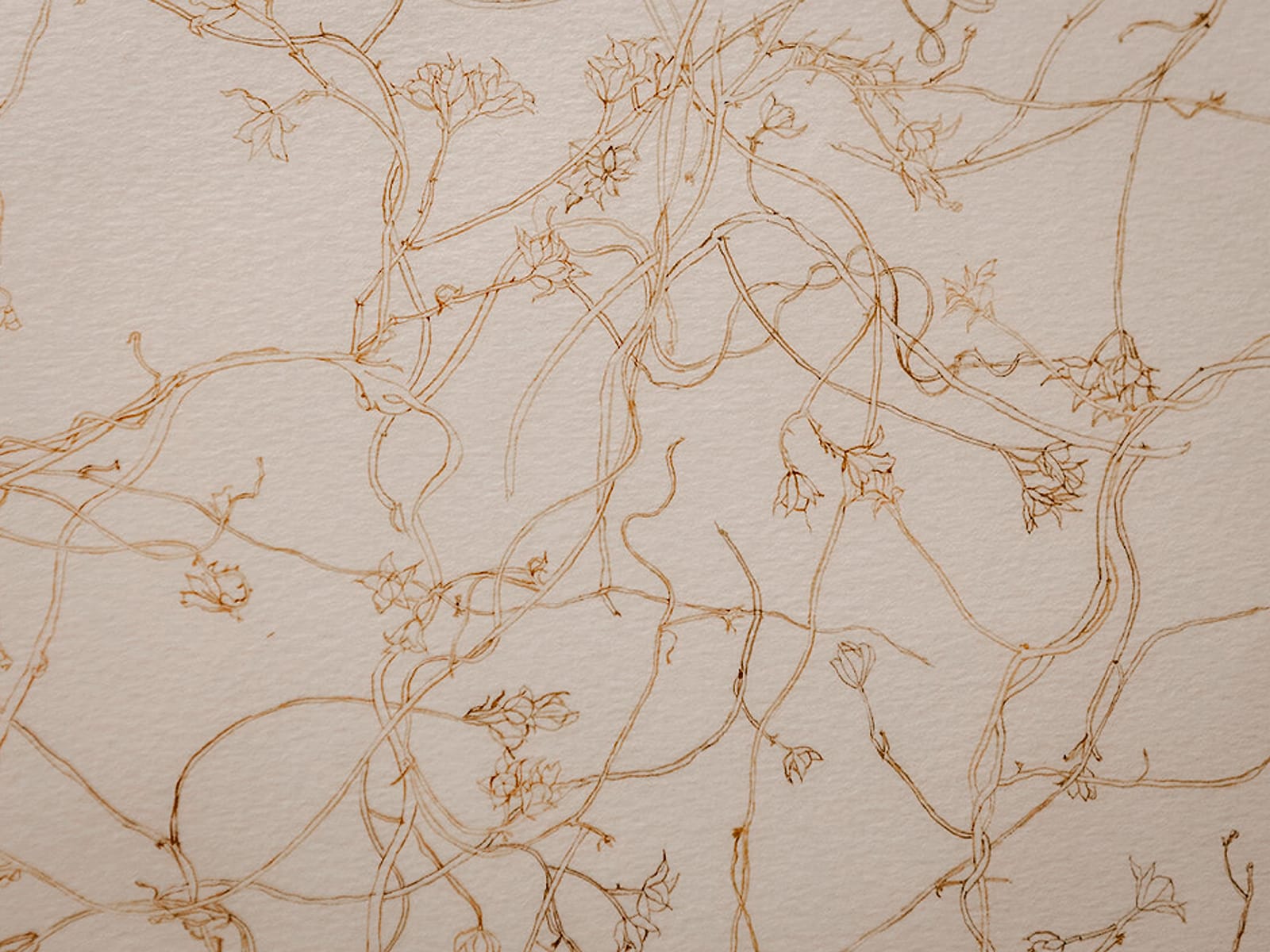 Чистая вода, каменистое дно