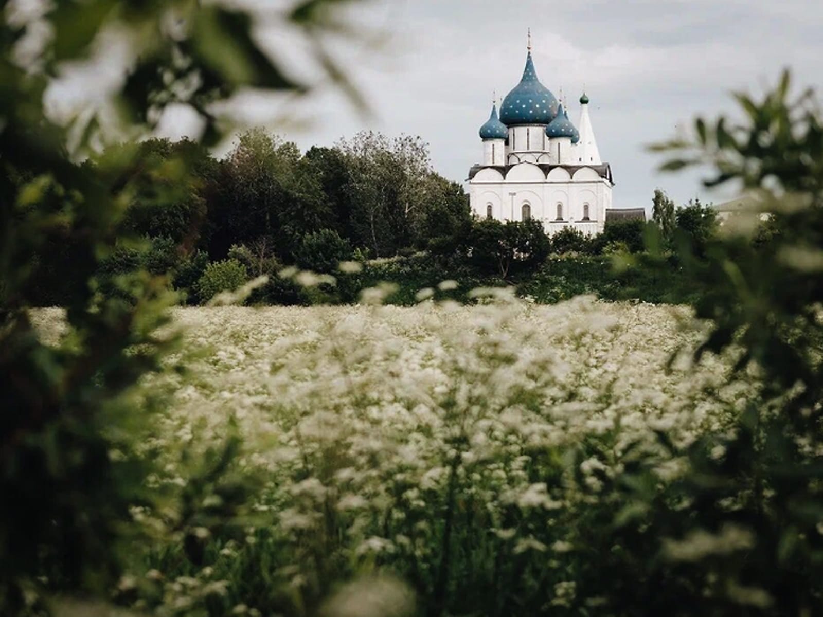 Средневековая архитектура Суздаля