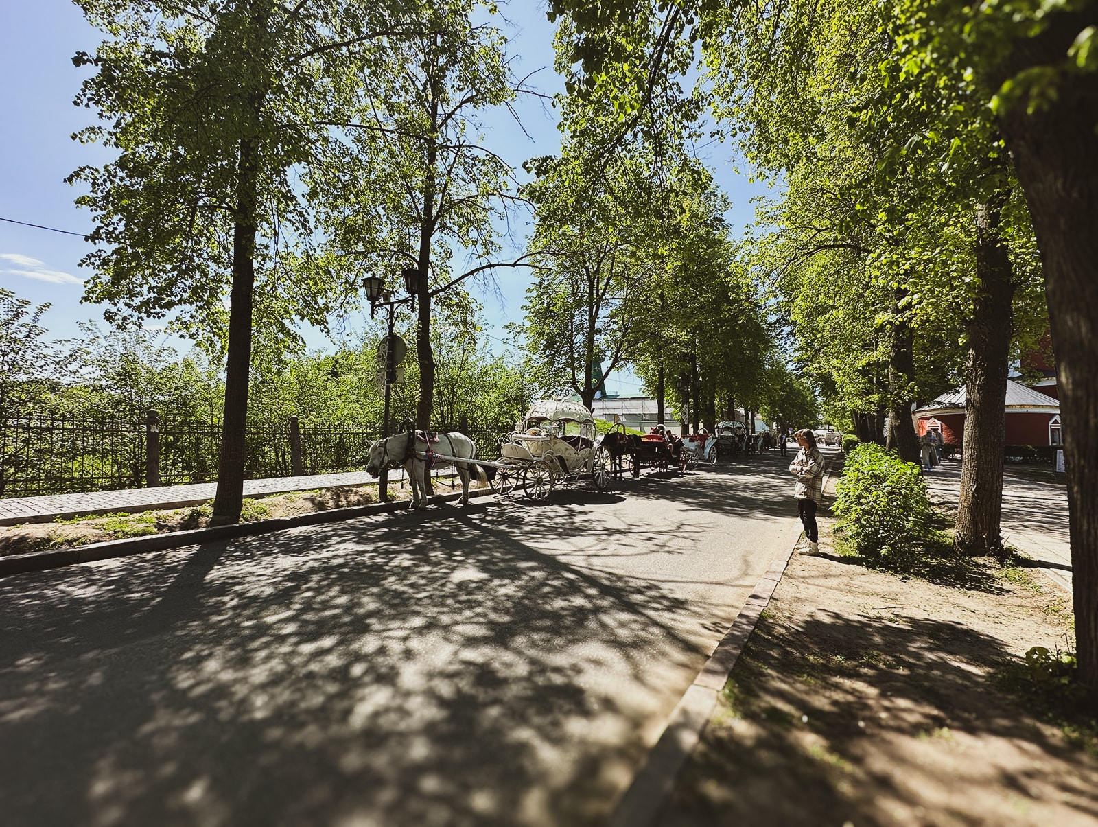 г. Суздаль, Каретный ряд