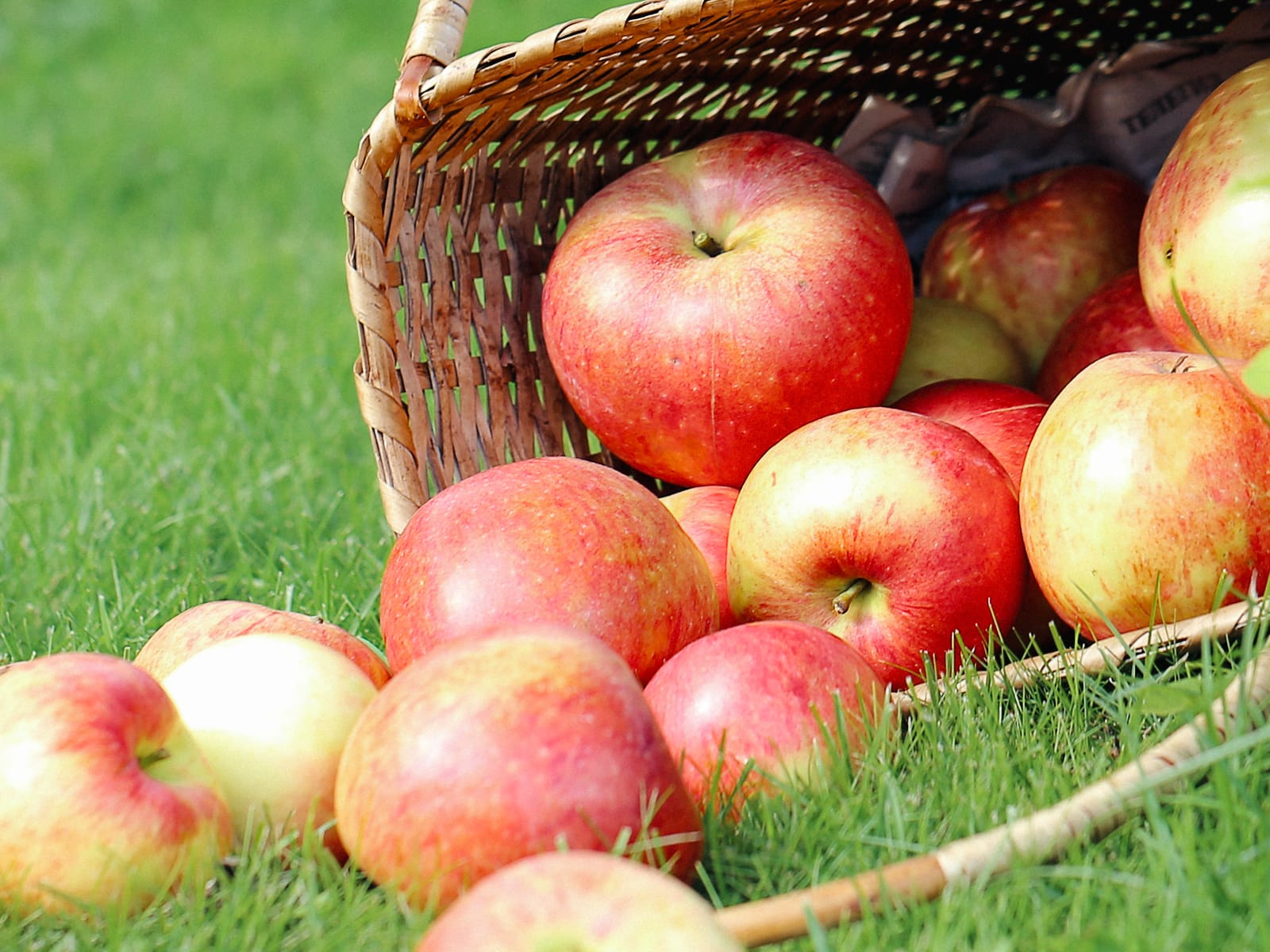 От Racool_studio на Freepik