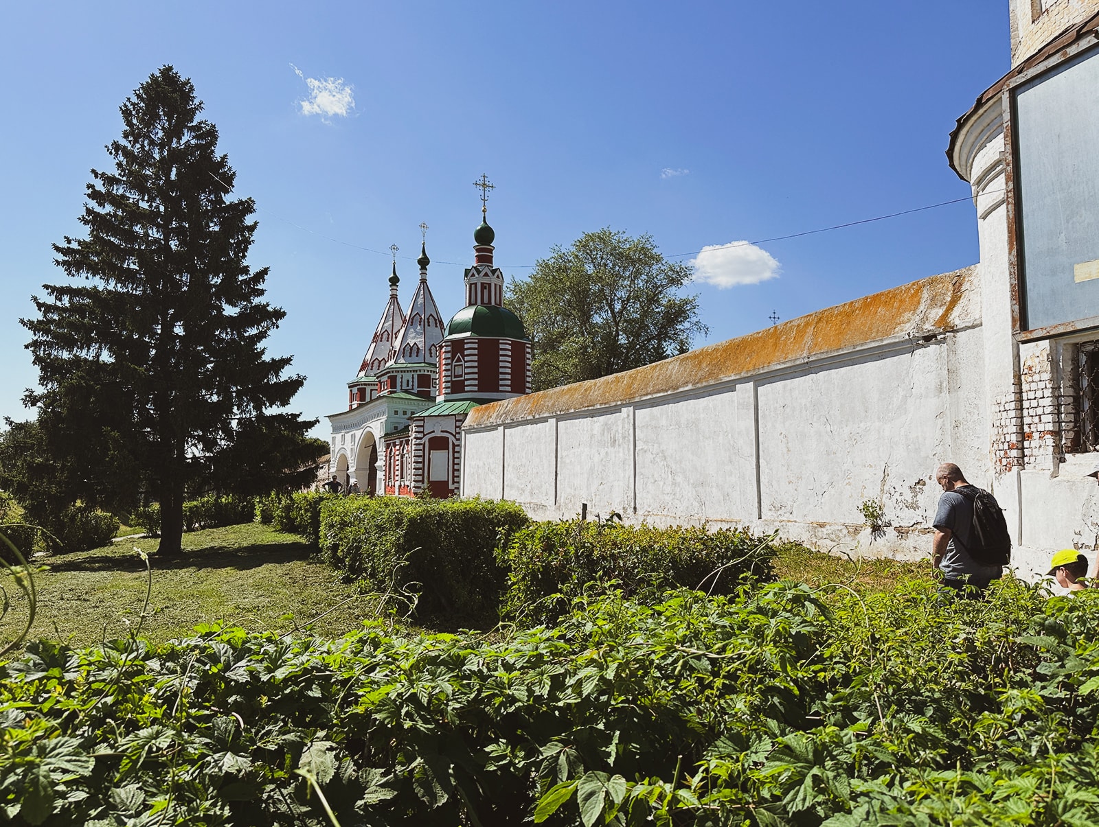 Суздальцев приглашают подключиться к общероссийской экоакции «Зелёное Кольцо»