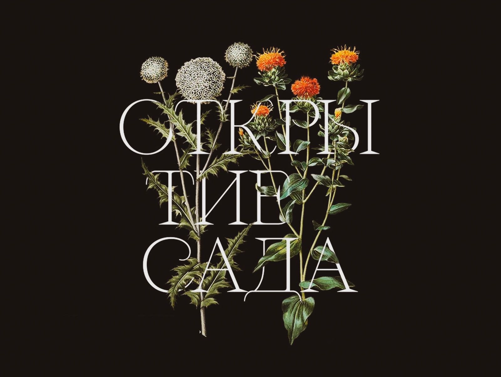 4 октября в Спасо-Евфимиевом монастыре в Суздале состоится открытие нового сада