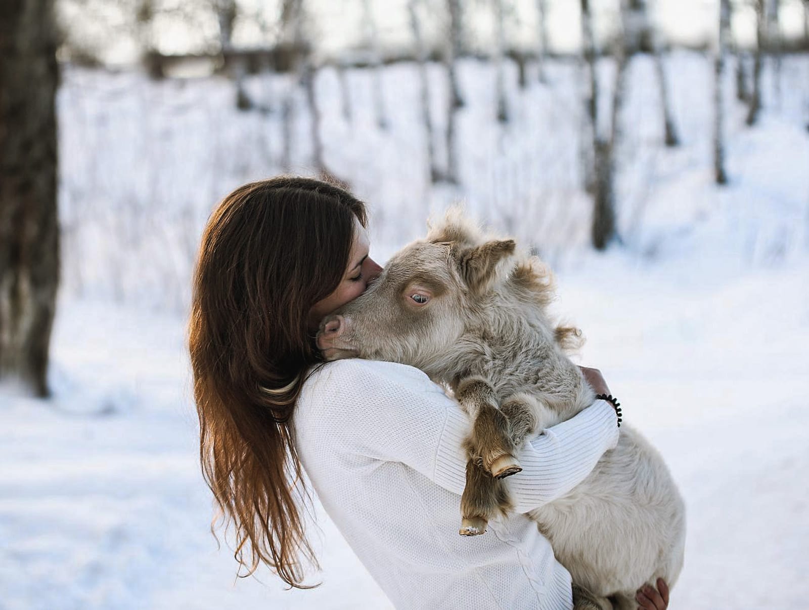 Пони-ферма «Минипони33», в 11 минутах от Суздаля