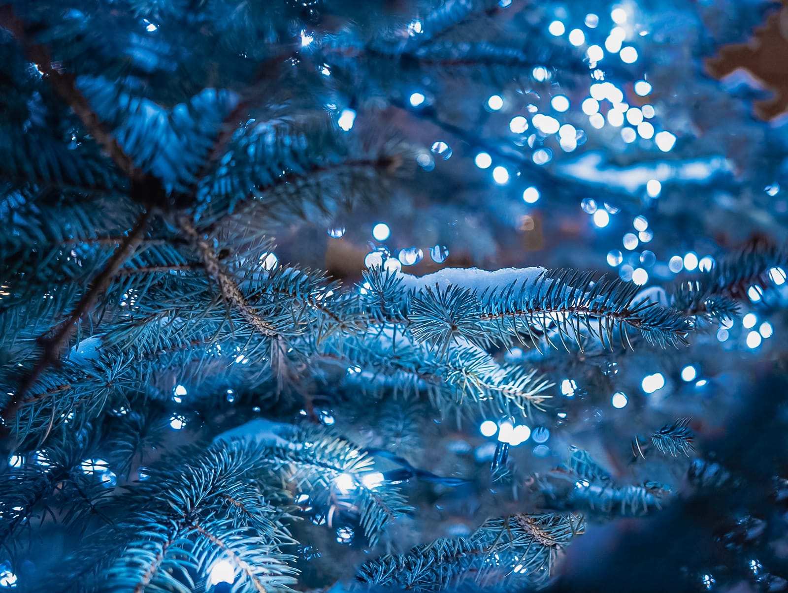 Суздаль готовится к празднованию Нового года 2025