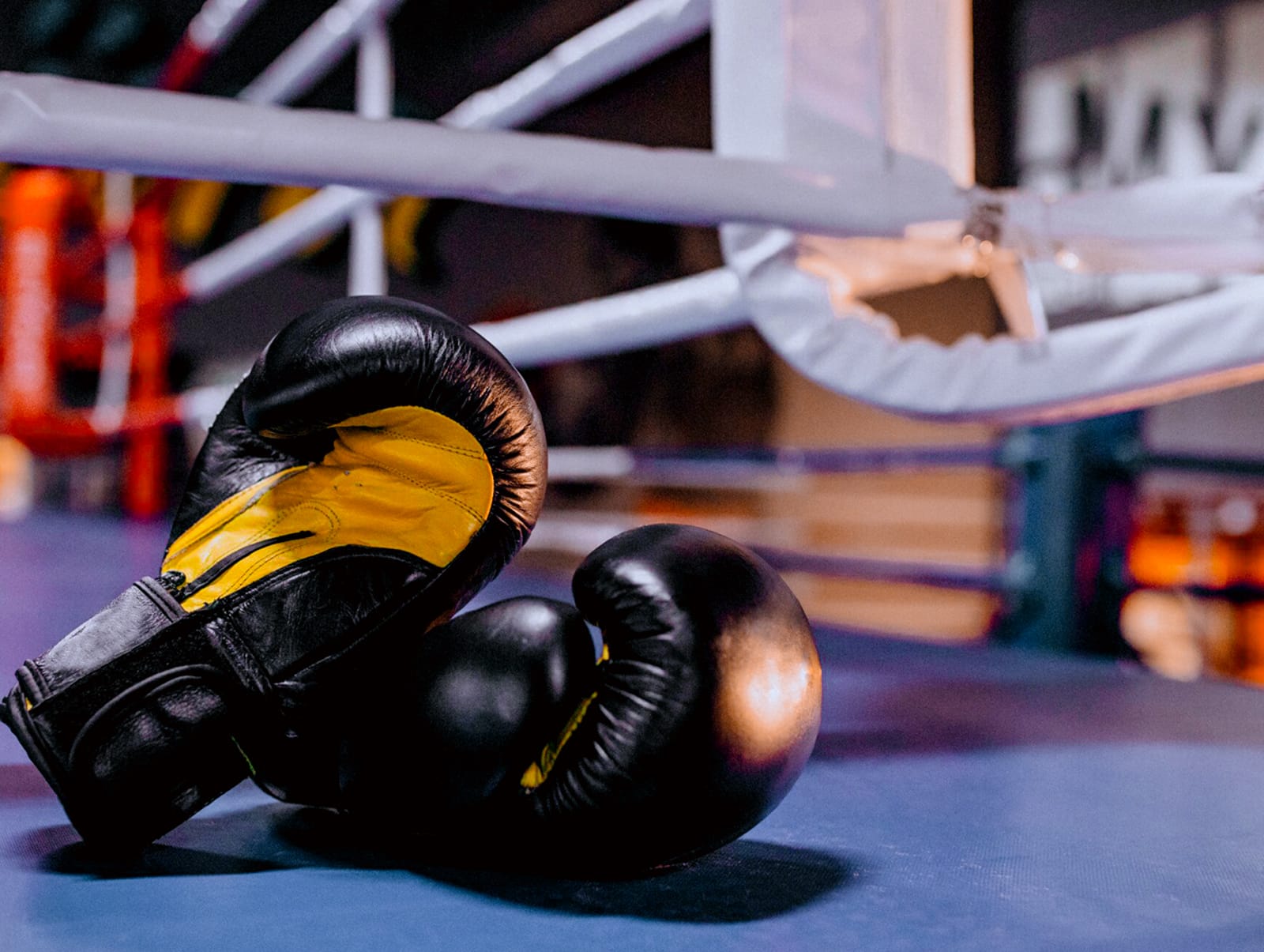 Первенство России по Боксу 2025 в Суздале: Зрелищные соревнования для юных спортсменов