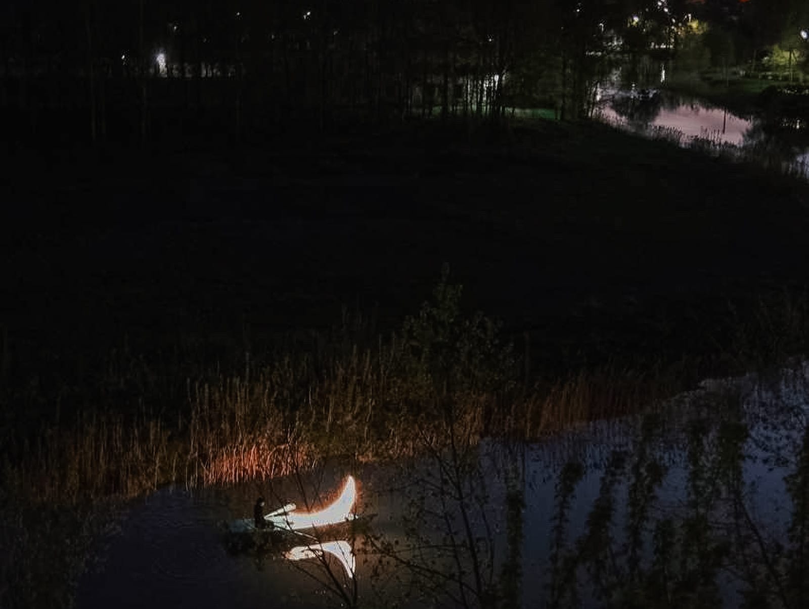 «Кругом свет»: выставка Леонида Тишкова в Суздале