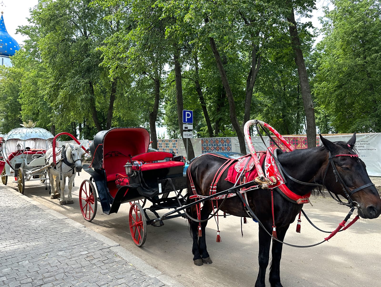 Катание на лошадях в Суздале