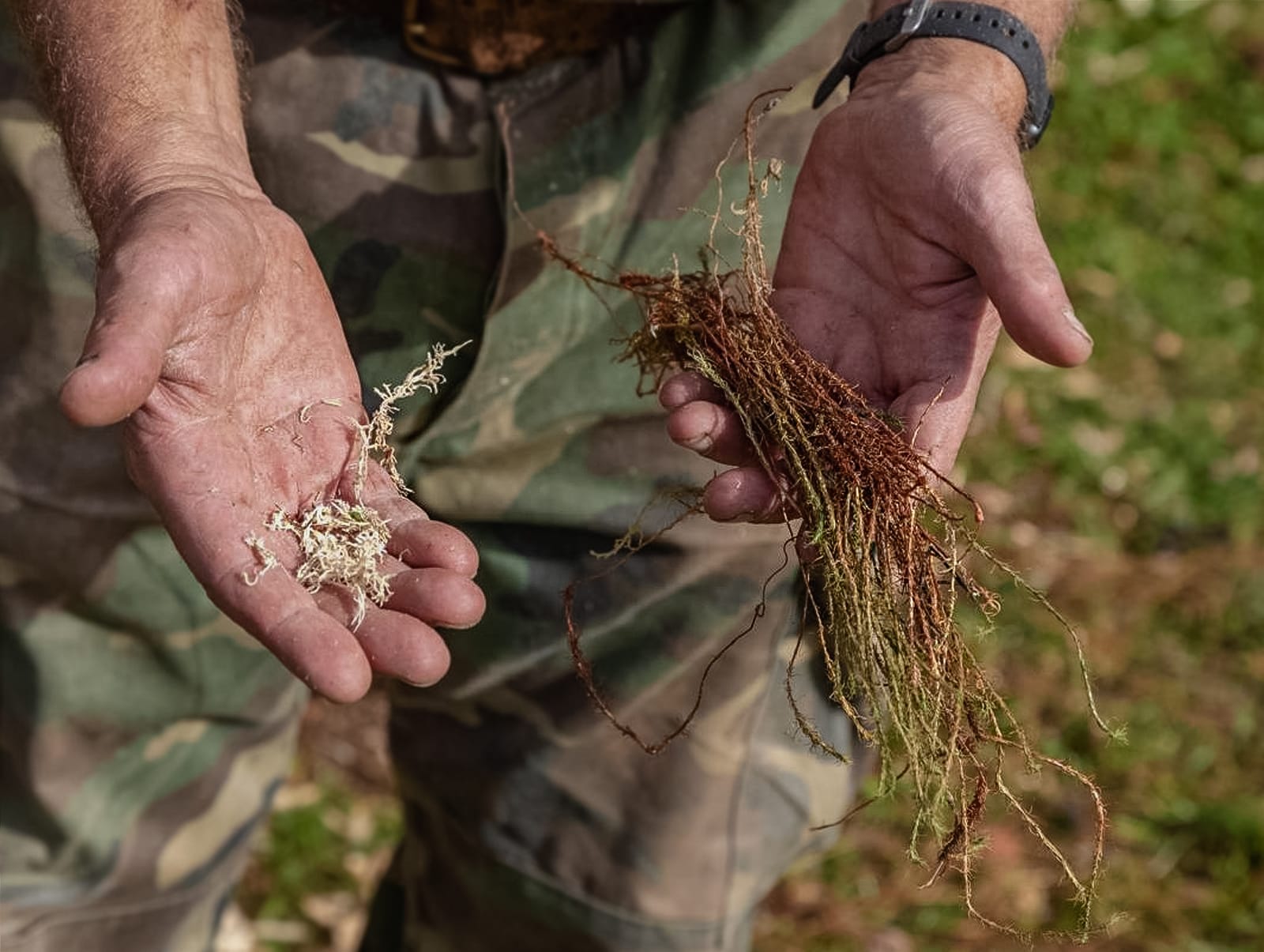Воссоздание традиционной курной избы в Музее деревянного зодчества