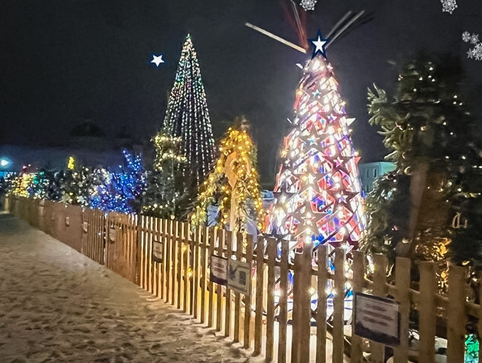 Открыт прием заявок на участие в ежегодном праздничном проекте «Аллея ёлок»