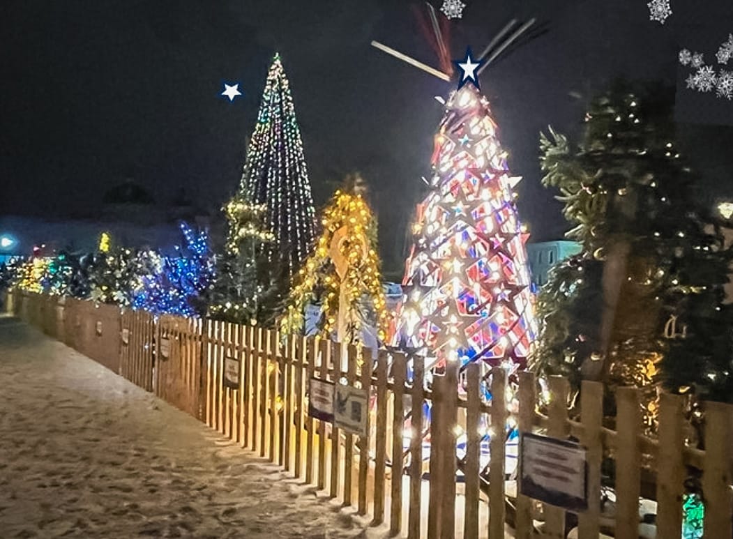 Открыт прием заявок на участие в ежегодном праздничном проекте «Аллея ёлок»