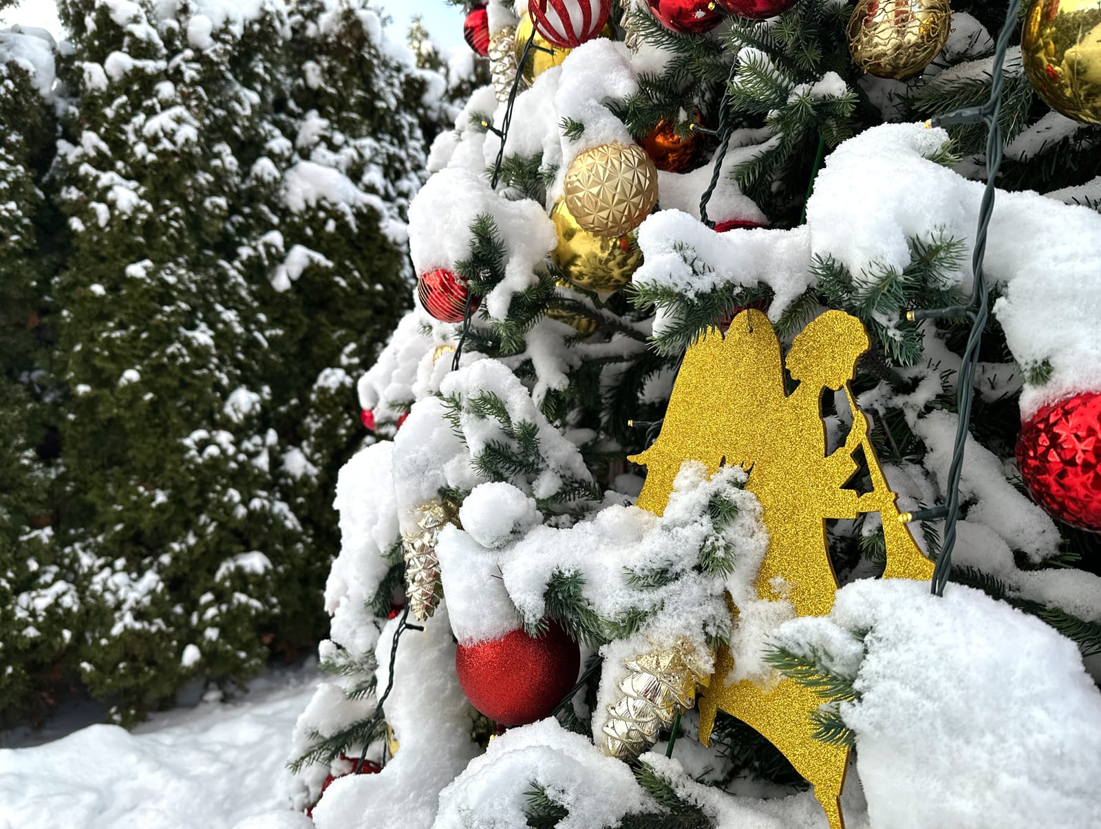 Рождественские богослужения в Суздале: с 3 по 7 января 2026 года