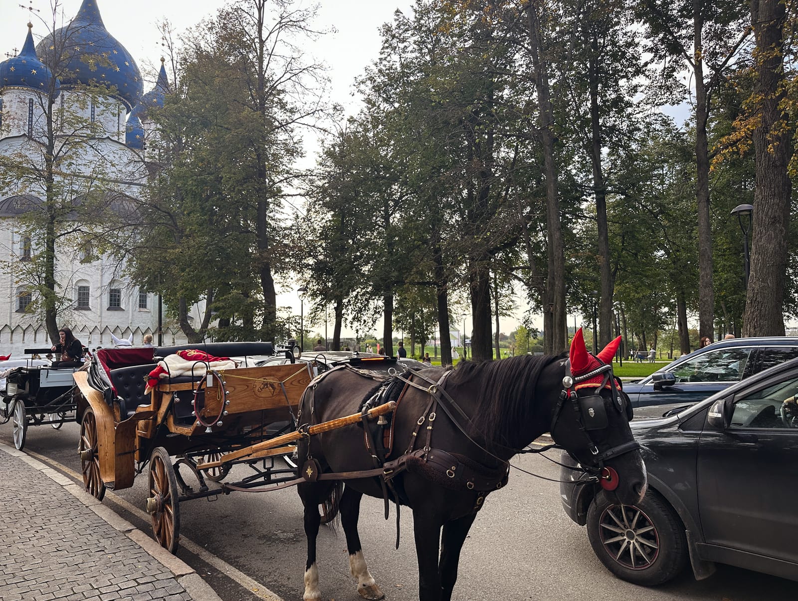 Новая платная парковочная зона в центре Суздаля