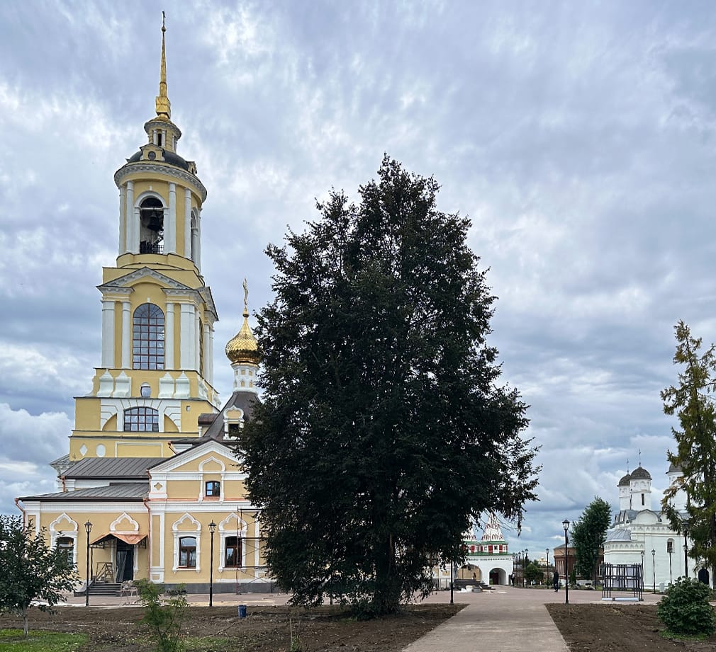 Патриарх Кирилл посетит Суздаль
