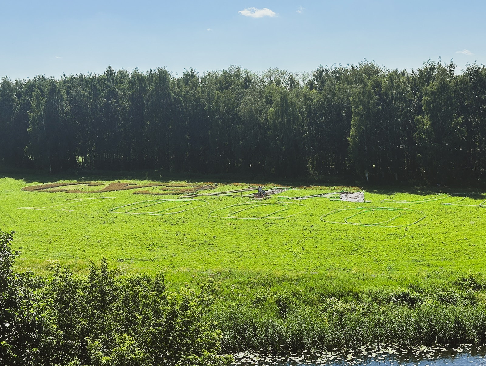 Уникальная цветочная композиции на Ильинском лугу