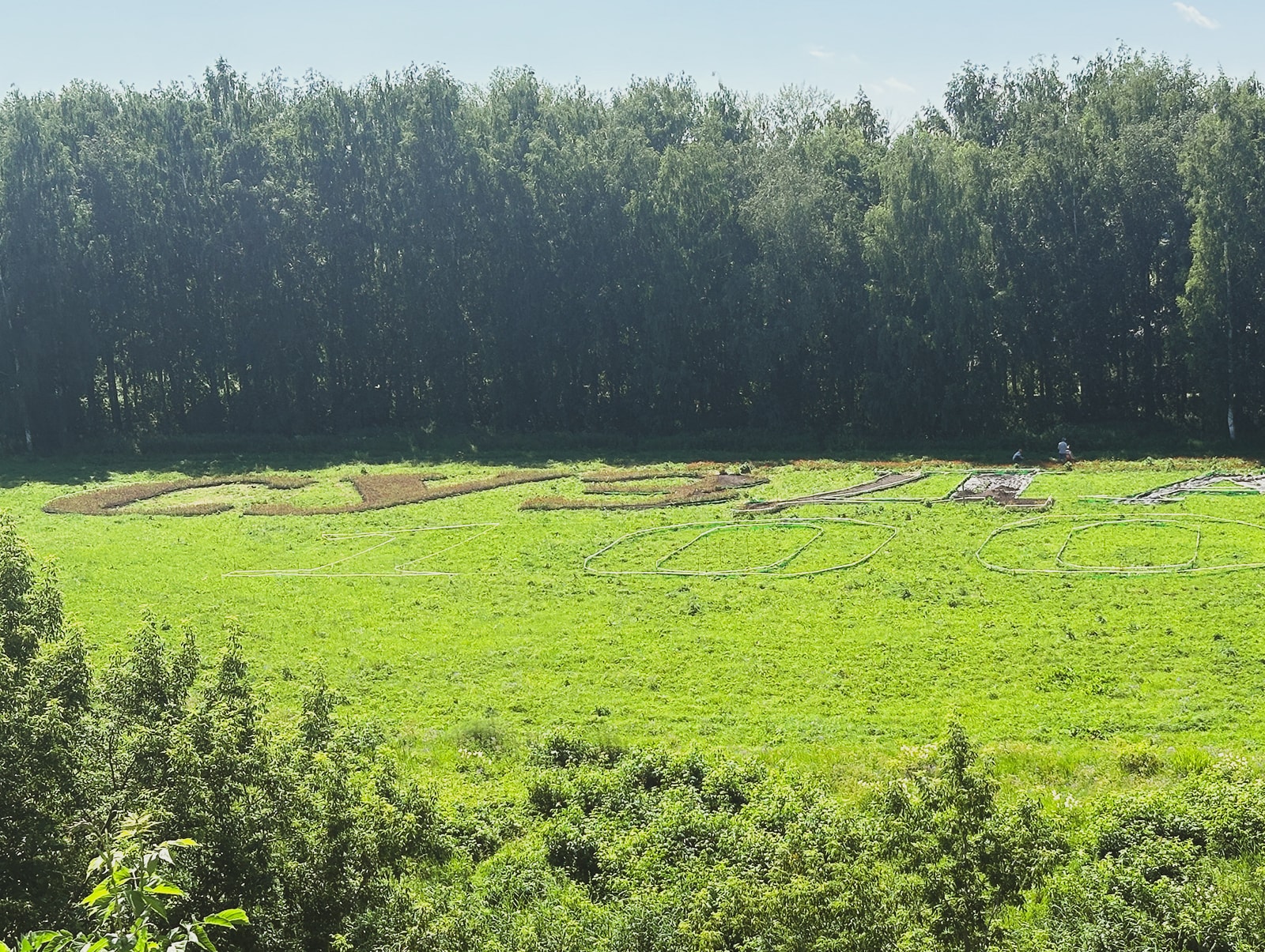 Величественная цветочная композиция на Ильинском лугу