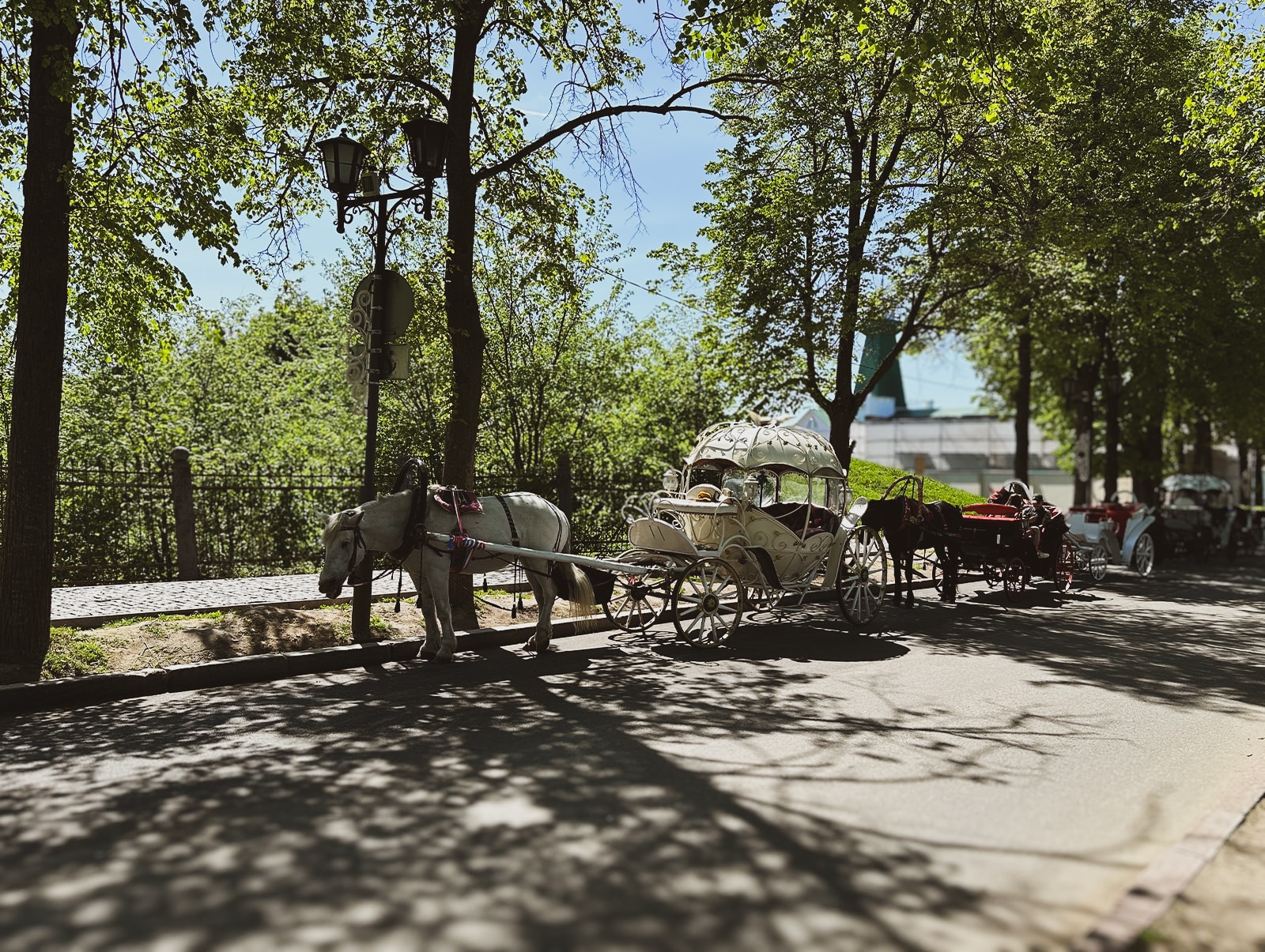 г. Суздаль, Каретный ряд