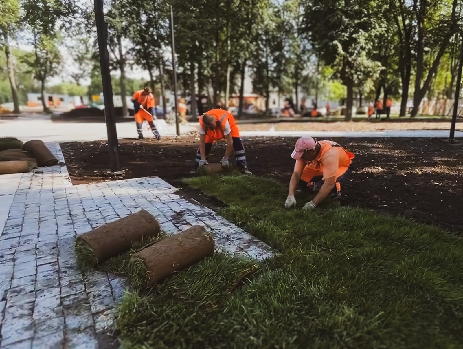 Укладка газона в Суздале