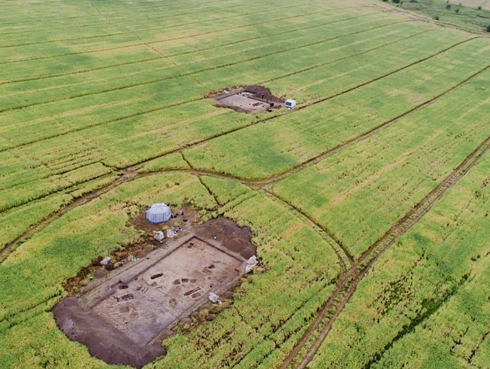 В Суздале обнаружили редкую археологическую находку