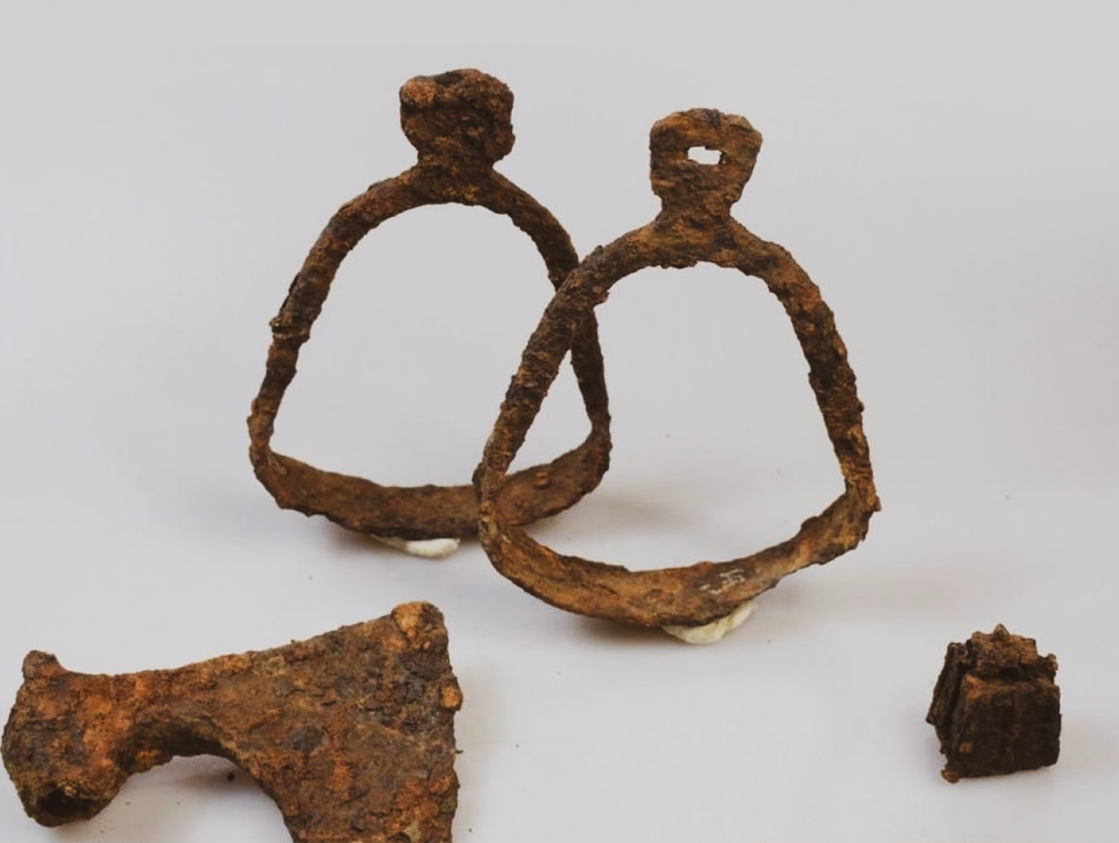 В Суздале обнаружили редкую археологическую находку