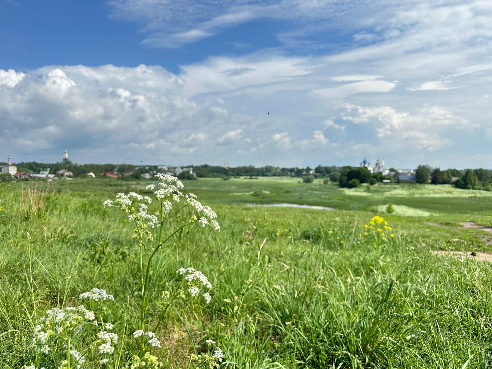 Достопримечательности Суздаля: Ильинский луг