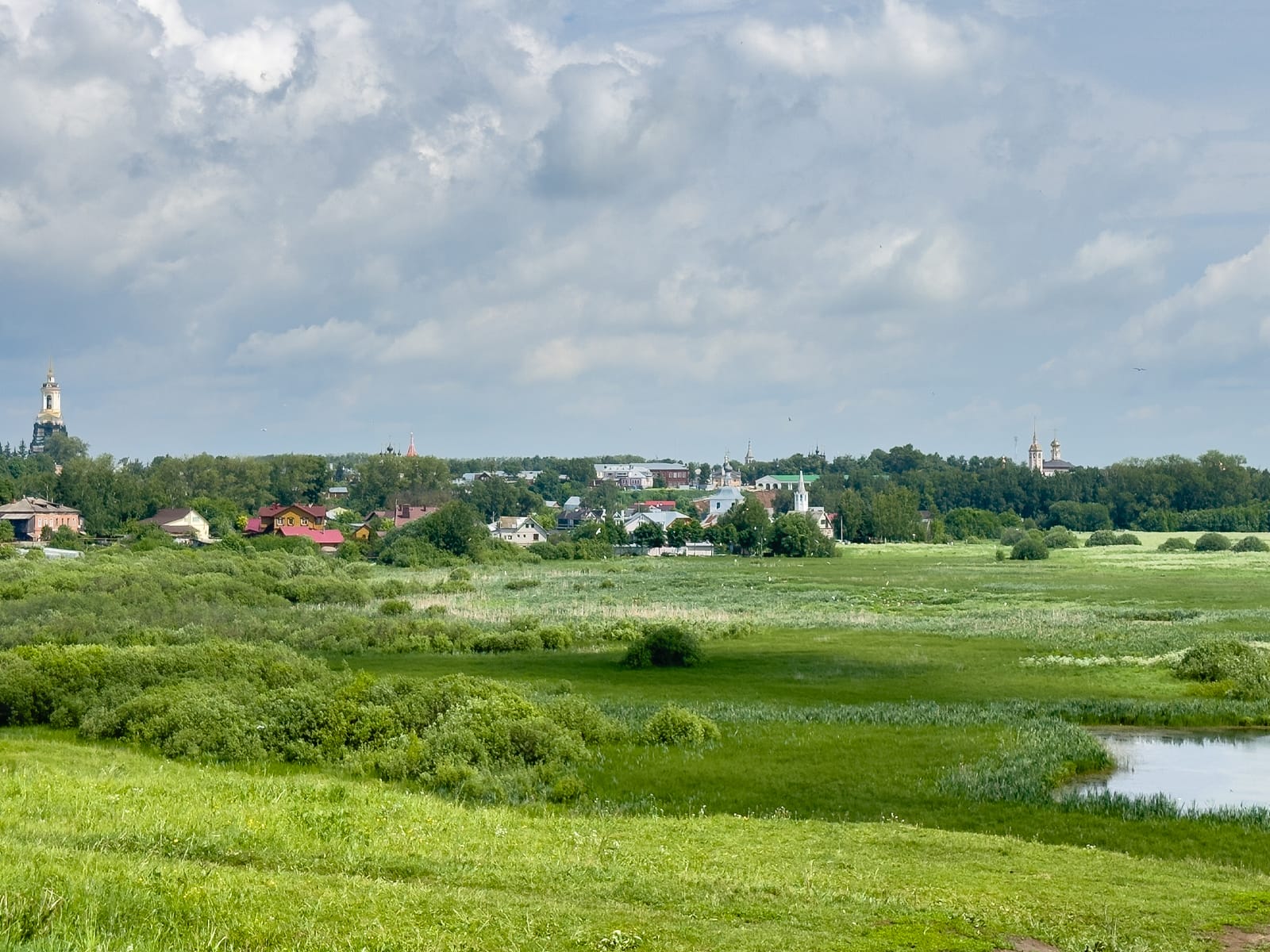 Виды Ильинского луга