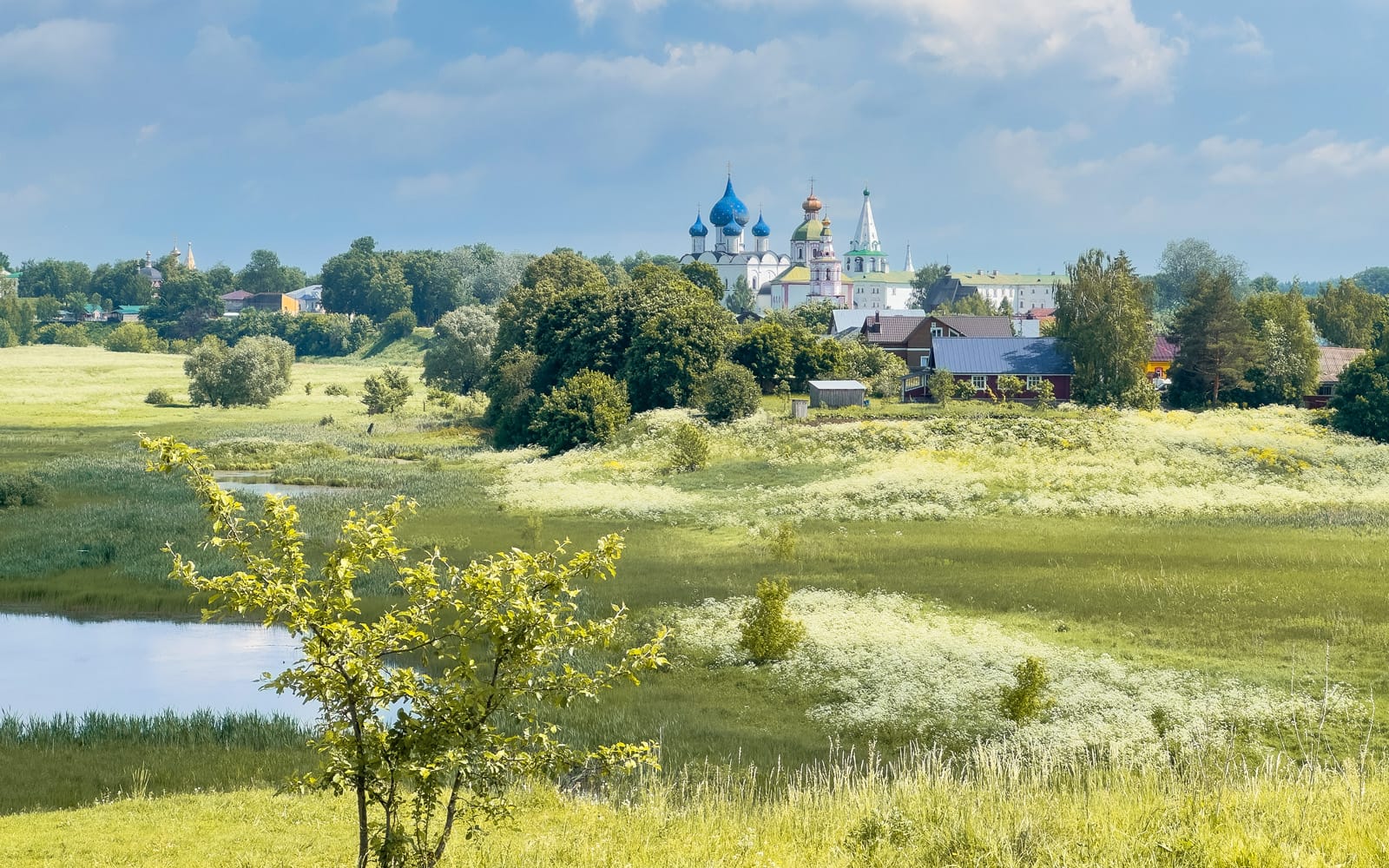 Суздаль 2025-2026